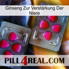 Ginseng Zur Verstärkung Der Niere 15
